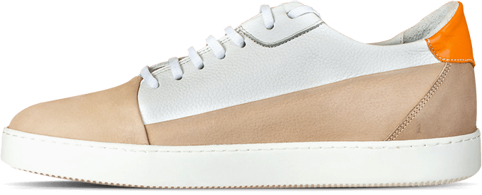 shoe 00